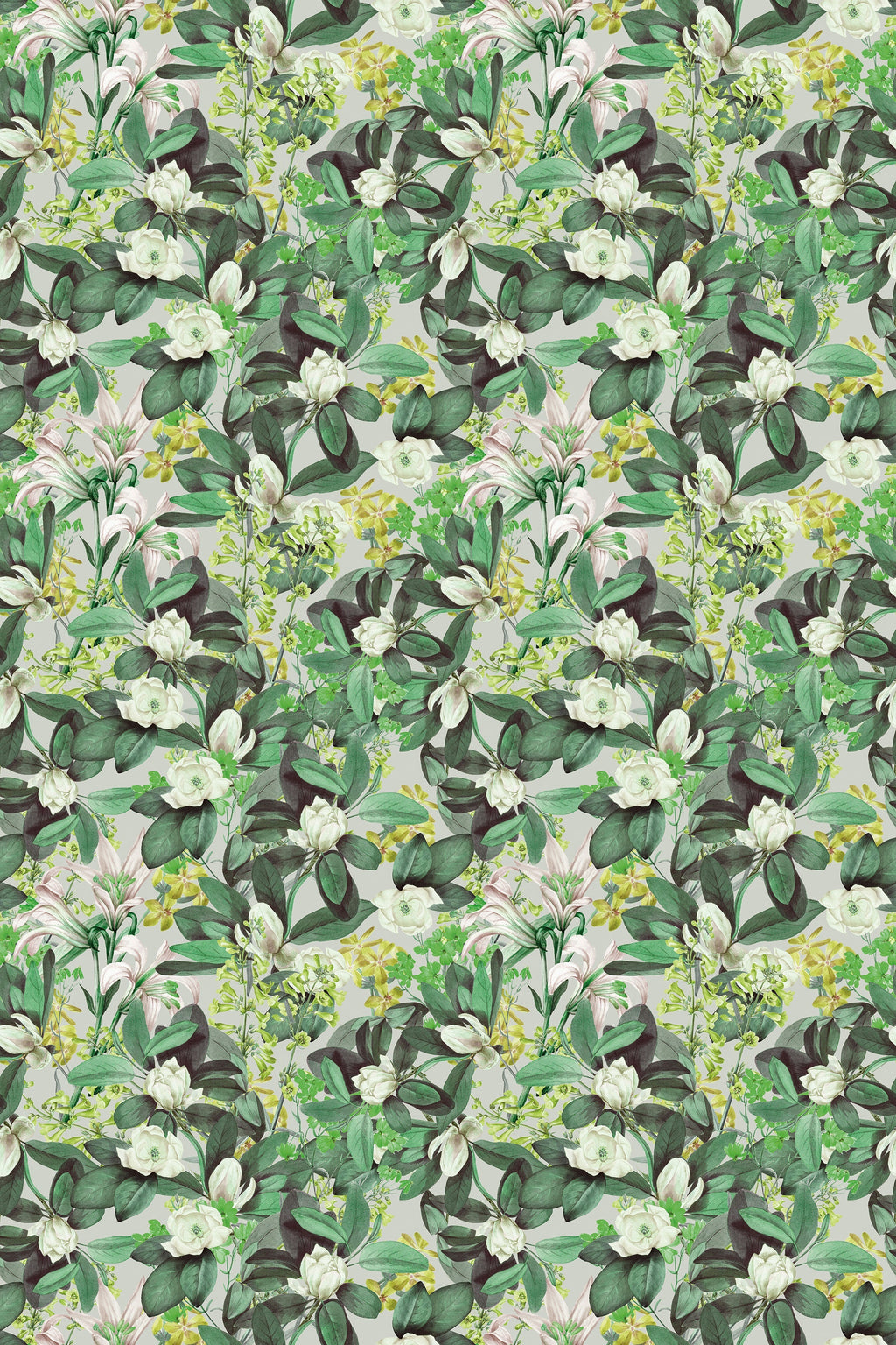 Angelica / Green