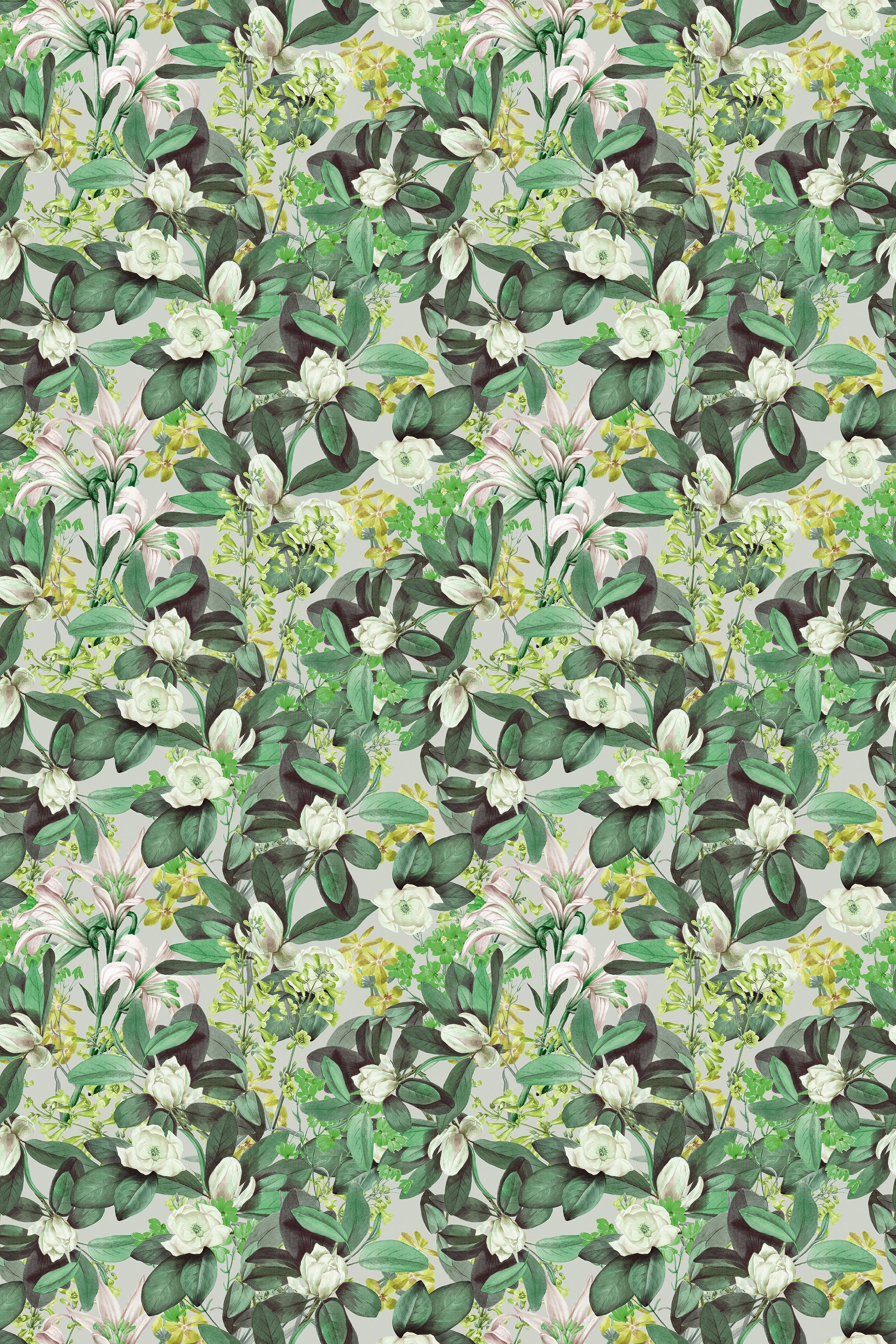 Angelica / Green