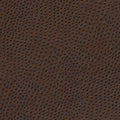 Quill-Nj | # 884 Walnut - Maxwell Fabric